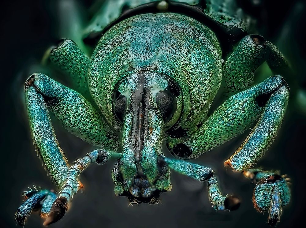 Photograph by Савчук Анатолий