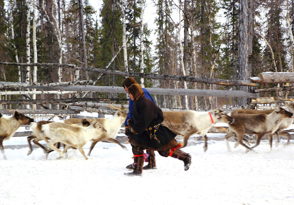 Фотография автора Volha Mamajanava