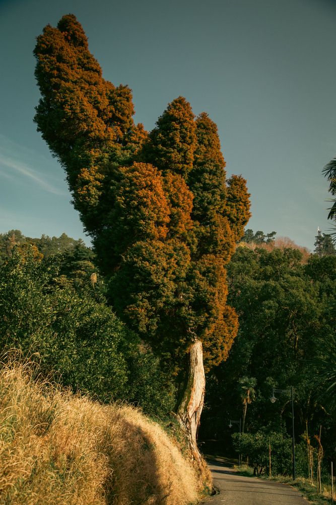 Photograph by Дмитрий Синицын