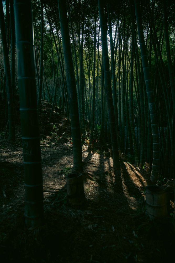 Photograph by Дмитрий Синицын