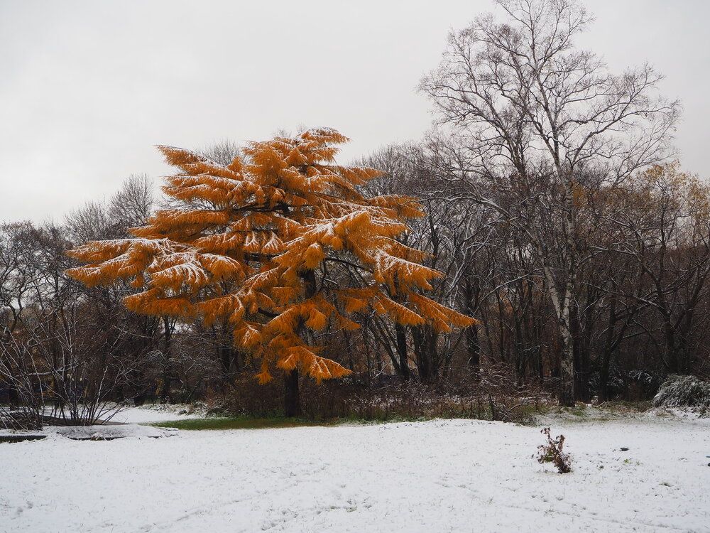 Photograph by Olena Vorotyntseva