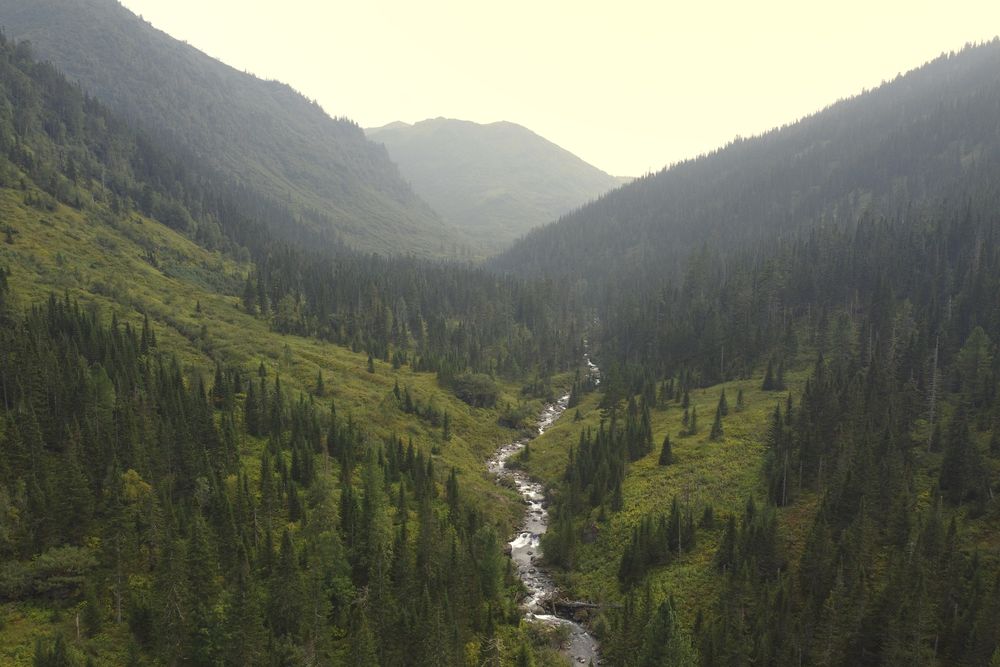 Photograph by Николай Потапов