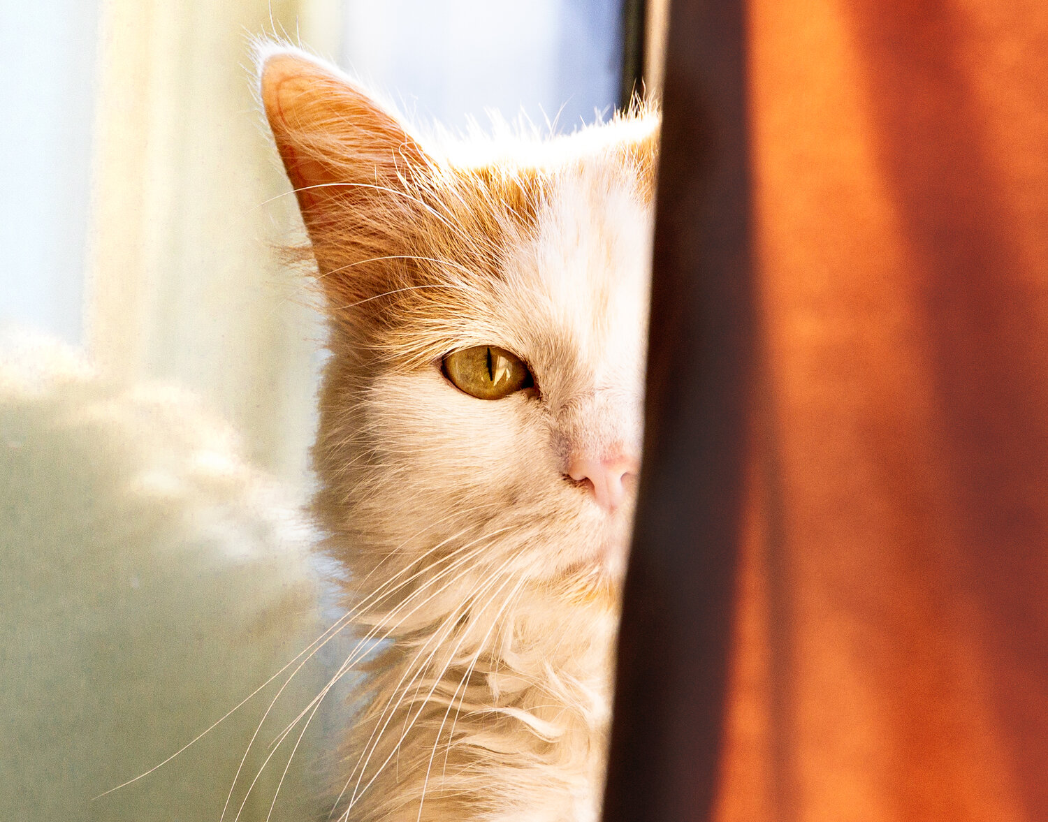 Photo #13367253