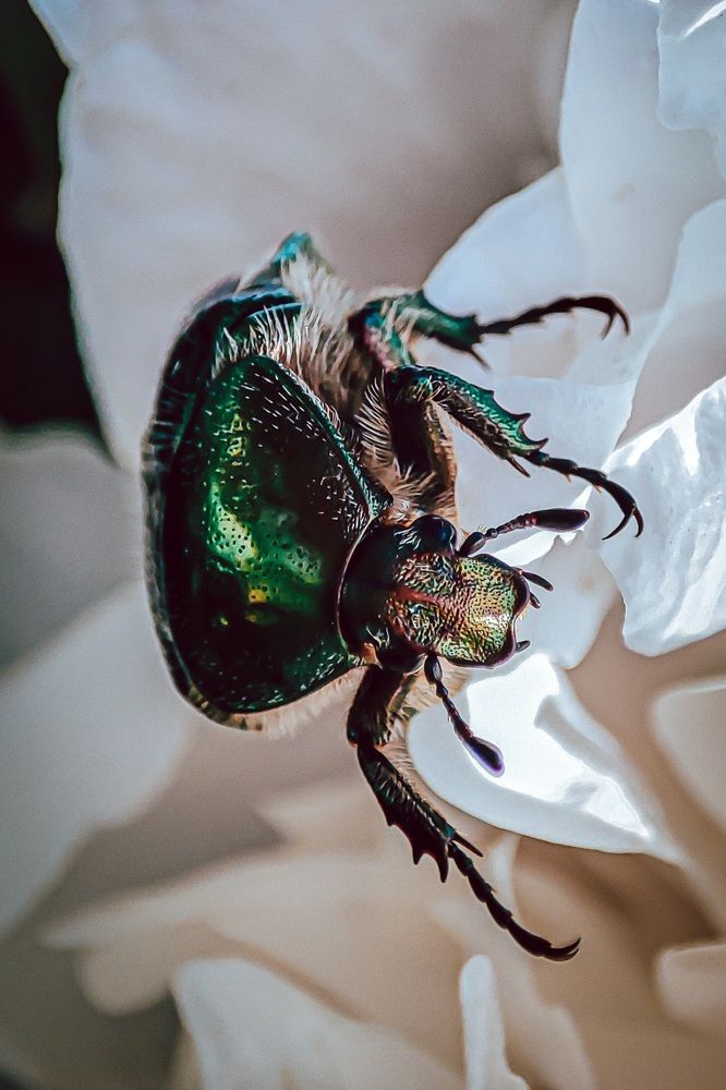 Фотография автора Юлия