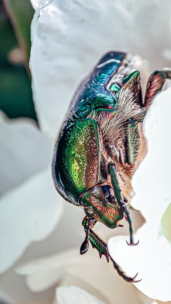 Фотография автора Юлия