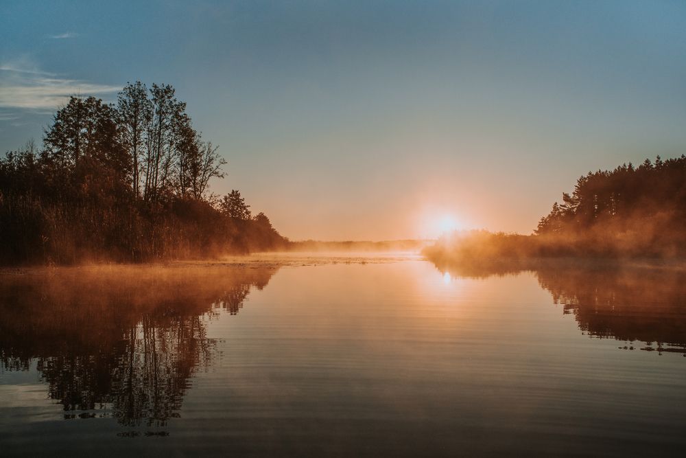 Photo #13367312