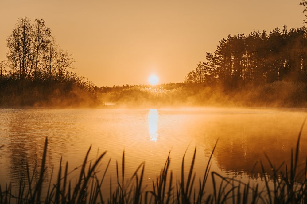 Photograph by Денис Мазычев