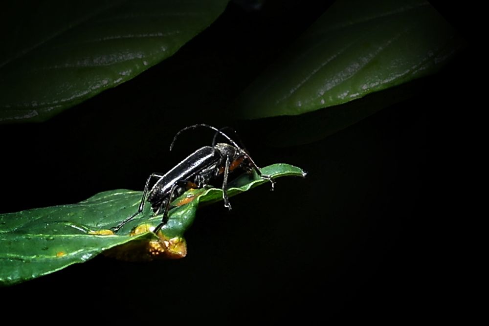 Photograph by Наталья Илюхина