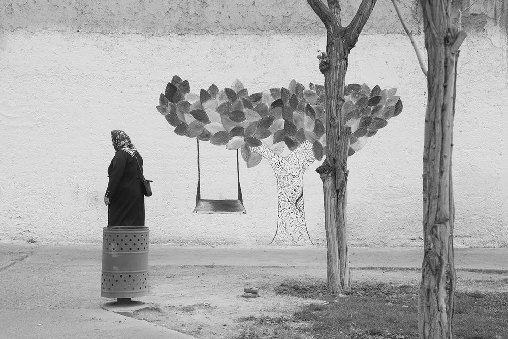 Фотография автора Reza Bavani