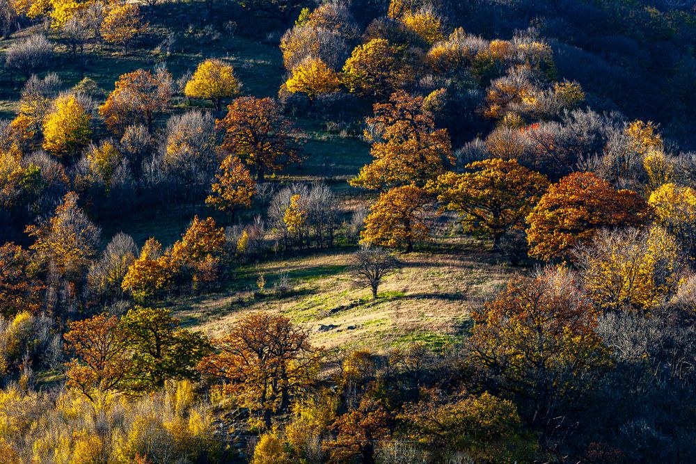 Photograph by Егор Чубатюк