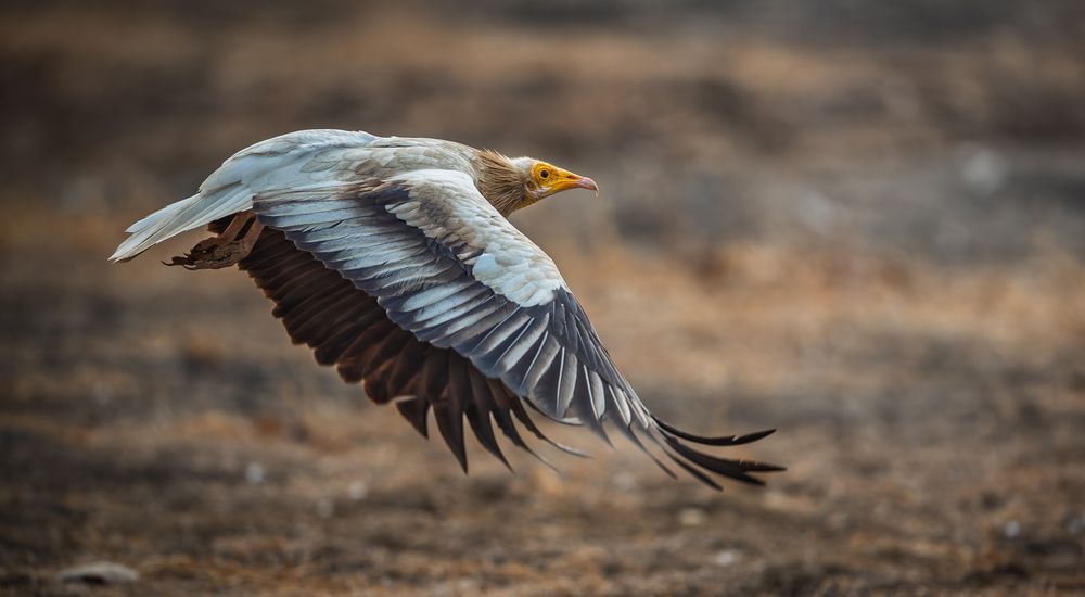 Photograph by Siddarth Sheri