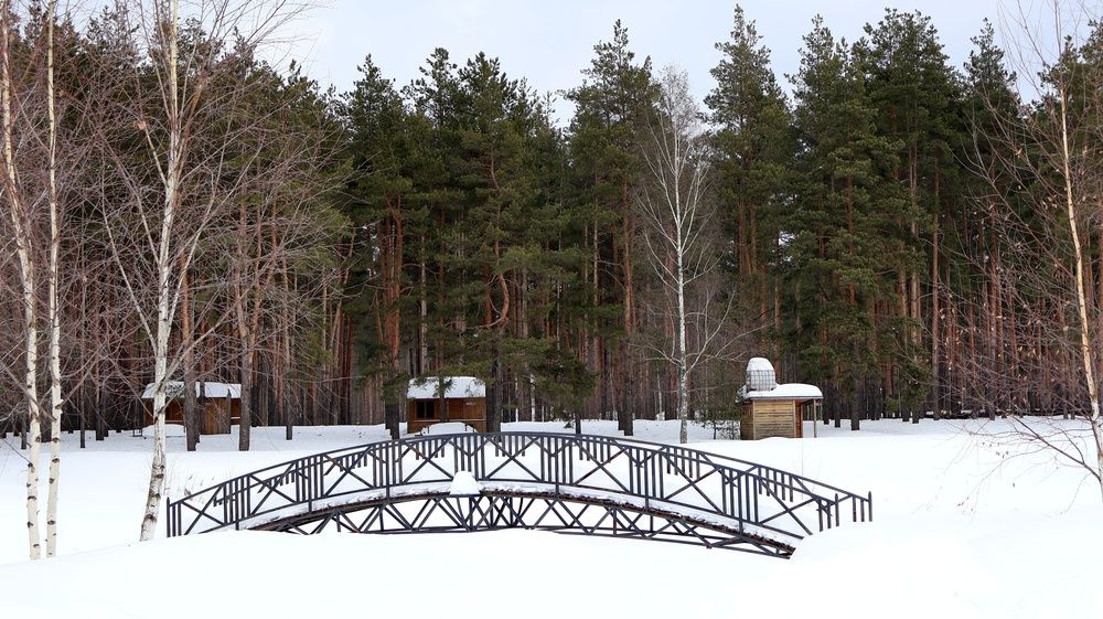 Photograph by Надежда Васильевна