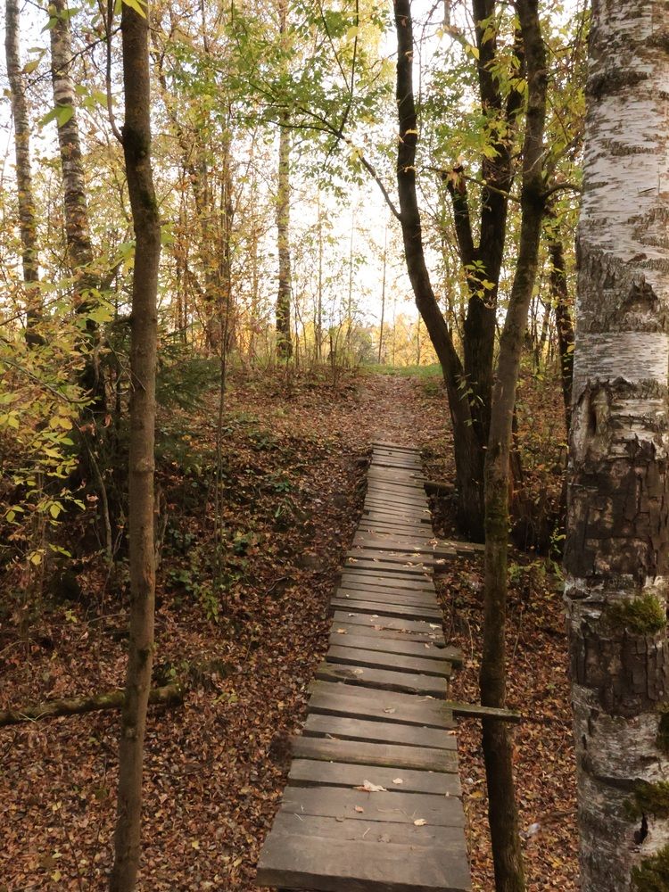 Photograph by Надежда Васильевна