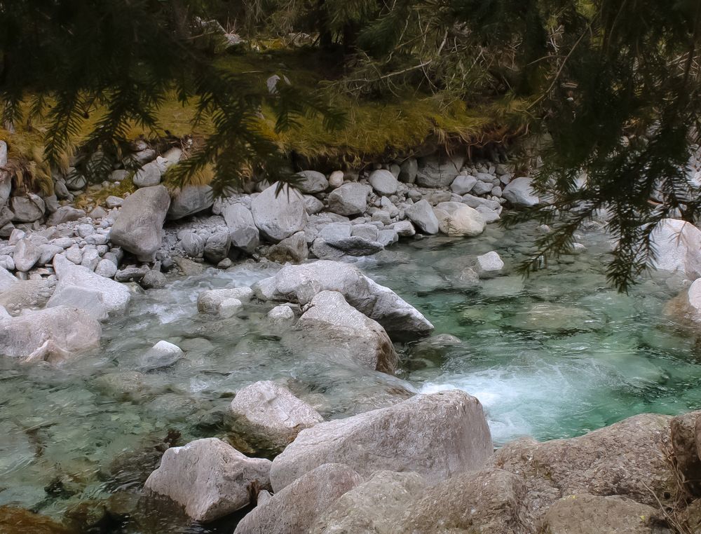 Photograph by Denise Bettoni