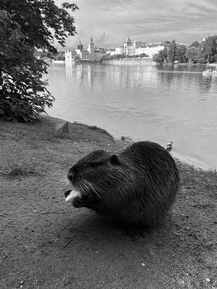 Photograph by Марина Виноградова