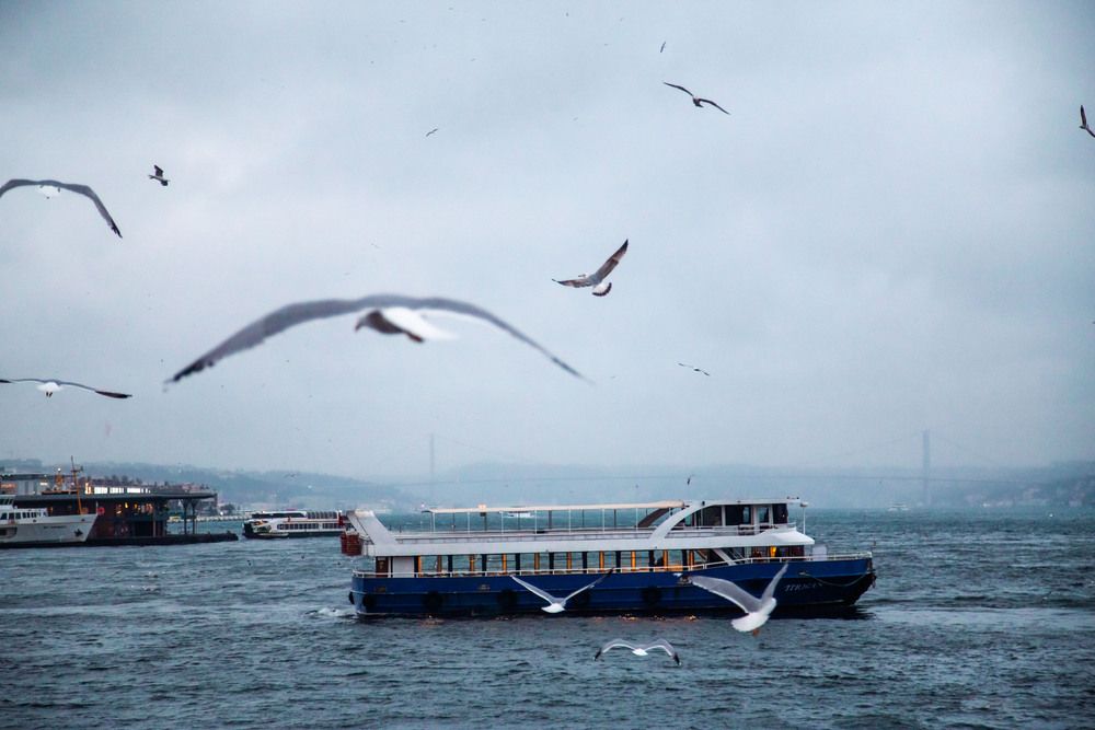 Photograph by Дмитрий Синицын