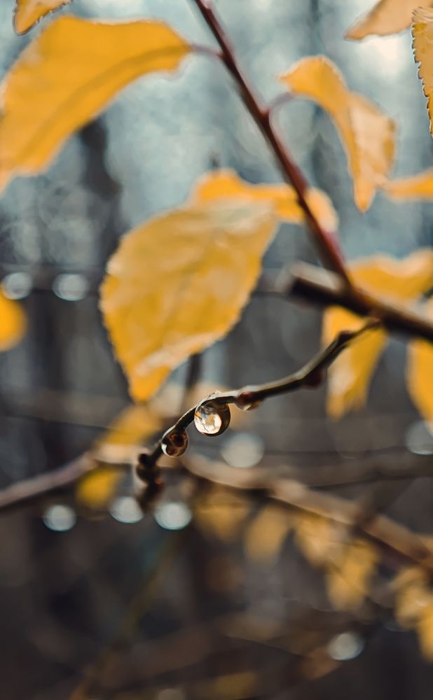 Photograph by Ekaterina Sapezhinskaya