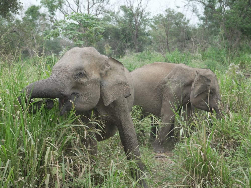 Photo #13367845