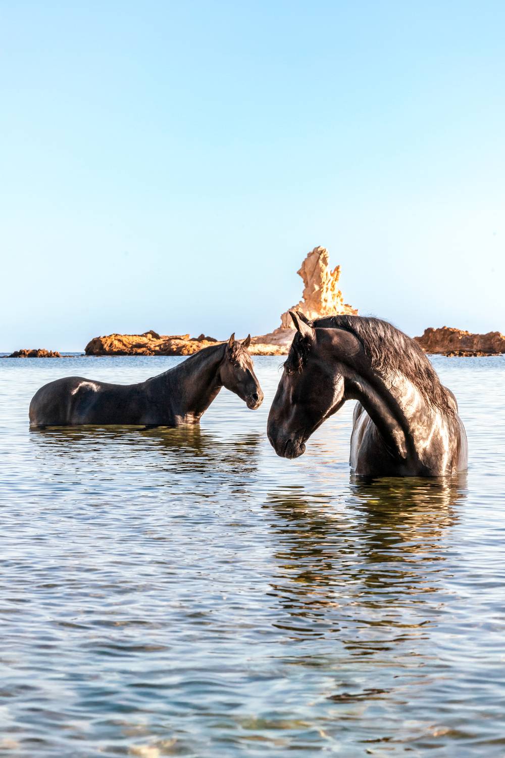 Before the world wakes Before the world wakes