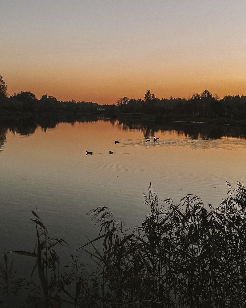 Photograph by Оксана Сологуб