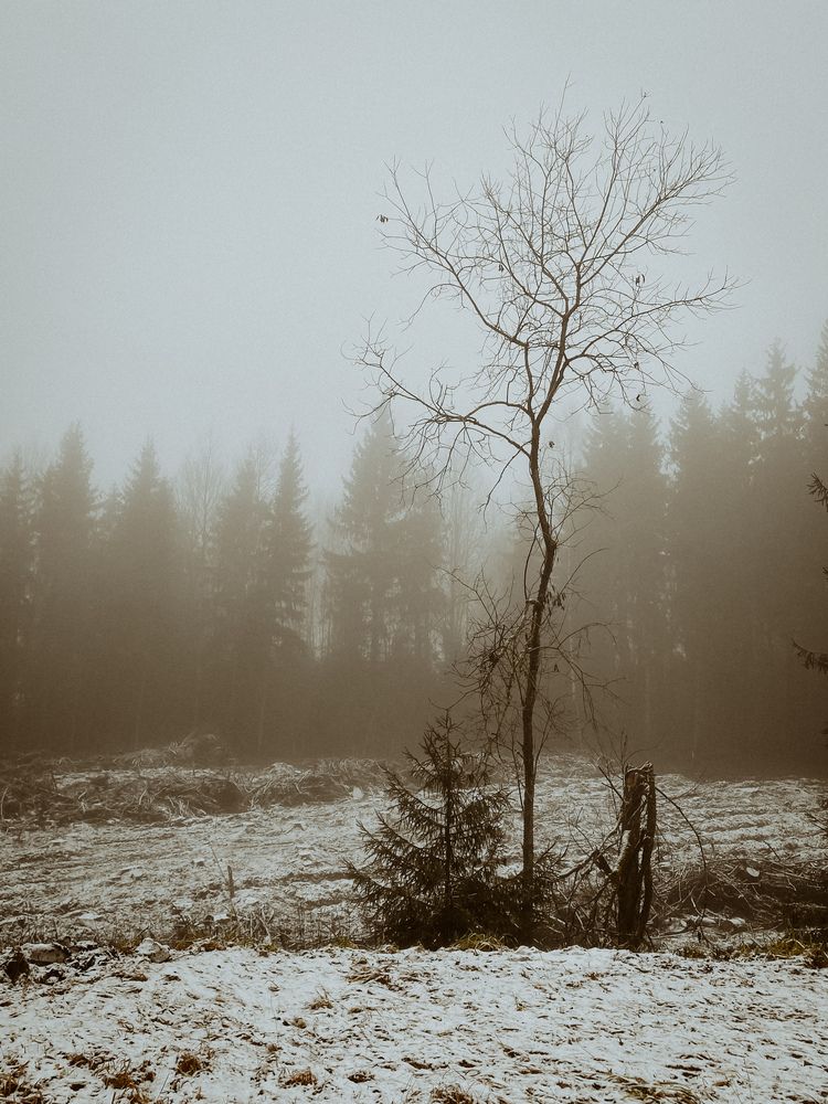 Photograph by Оксана Сологуб
