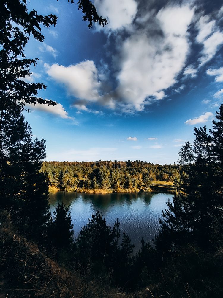 Фотография автора Алиса Исаева