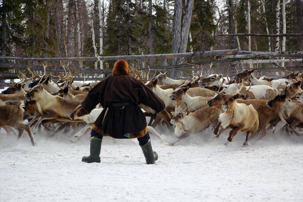 Photograph by Olga Mamadzanova