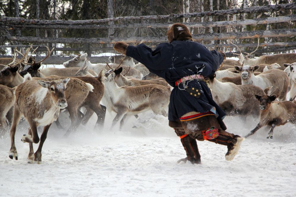 Photograph by Olga Mamadzanova