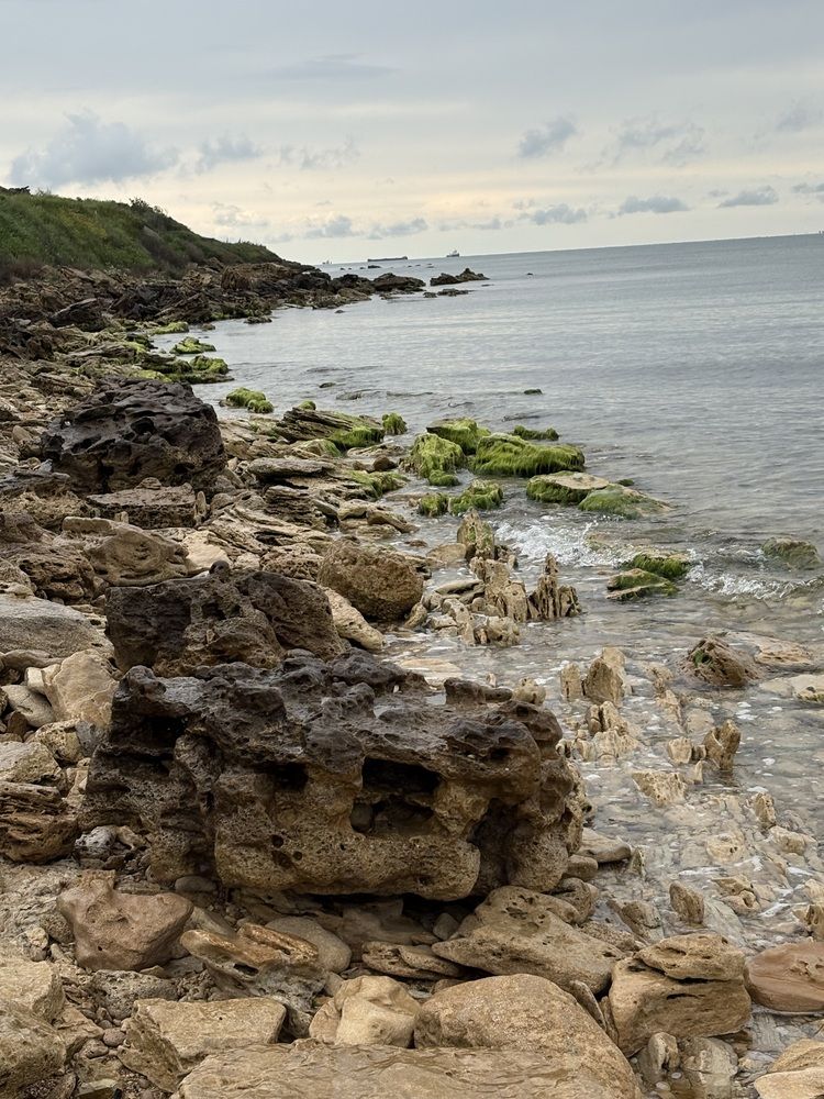 Морские камушки