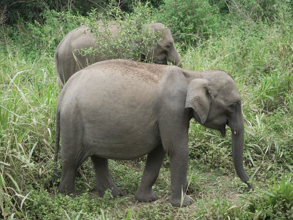 Photo #13368088