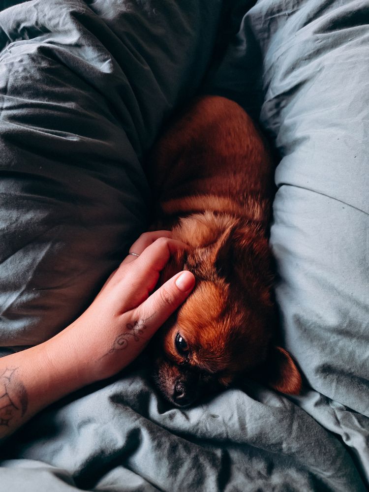 Фотография автора Анна Ворончихина