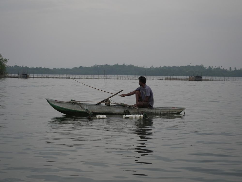 Photo #13368168