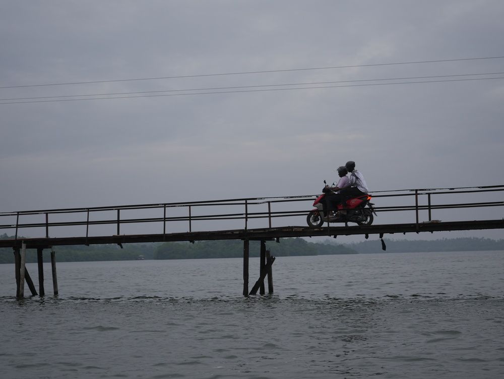Photo #13368170