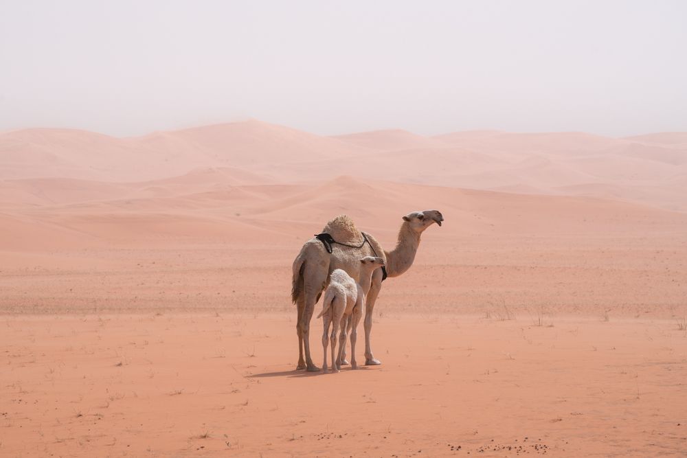 Photograph by Brian Robinson