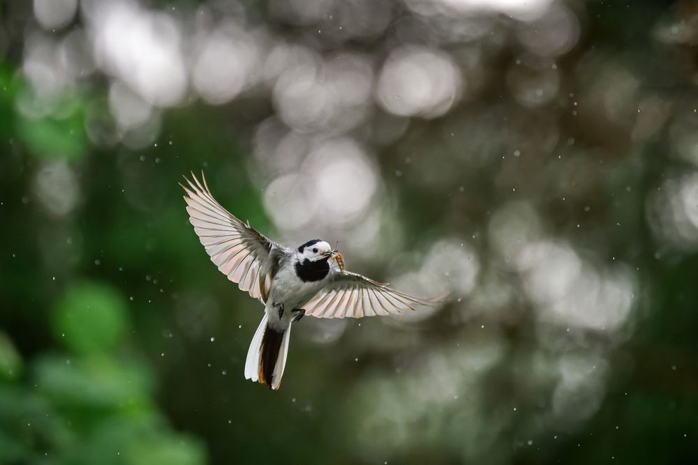 Photograph by Чехонин Александр