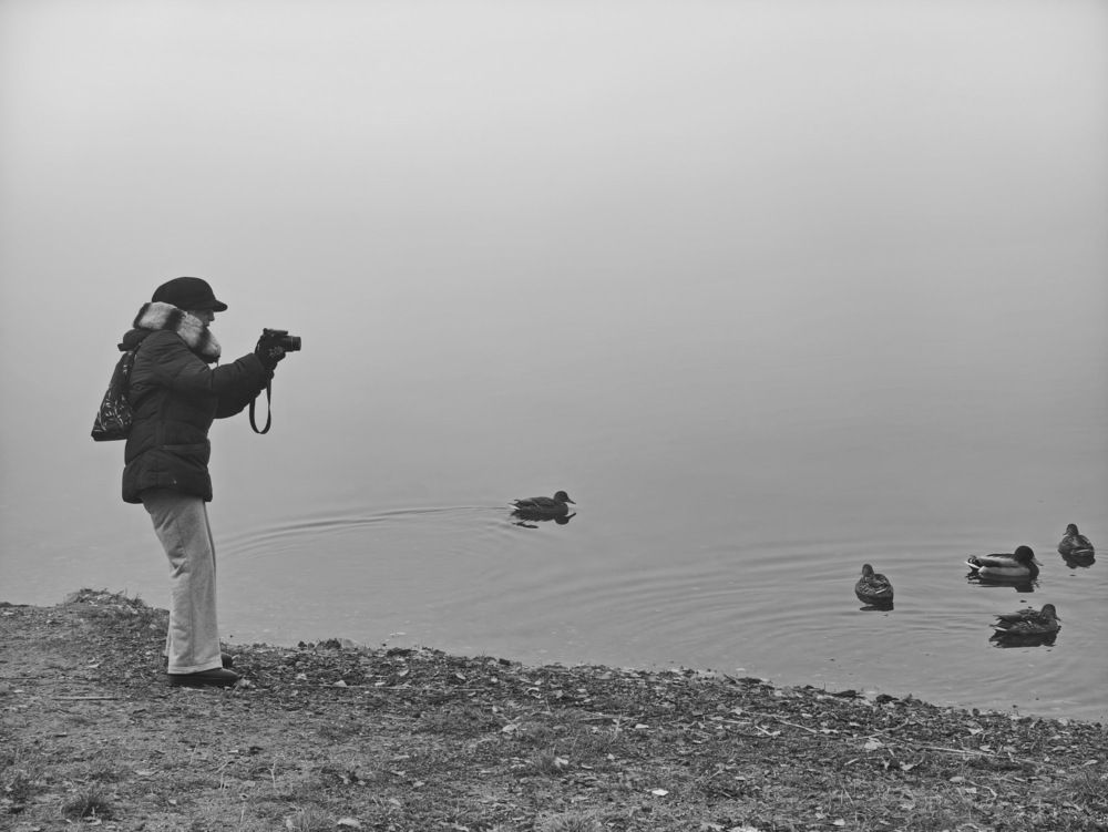 Photograph by Виталий Черепенькин