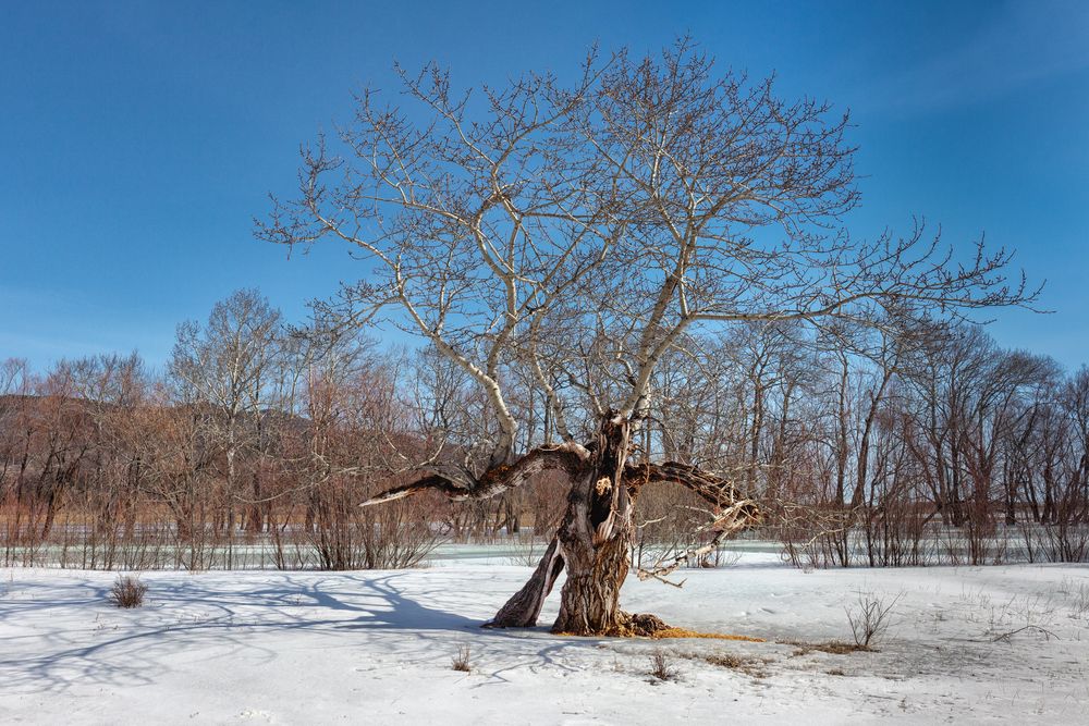 Photograph by Виктор Калинский