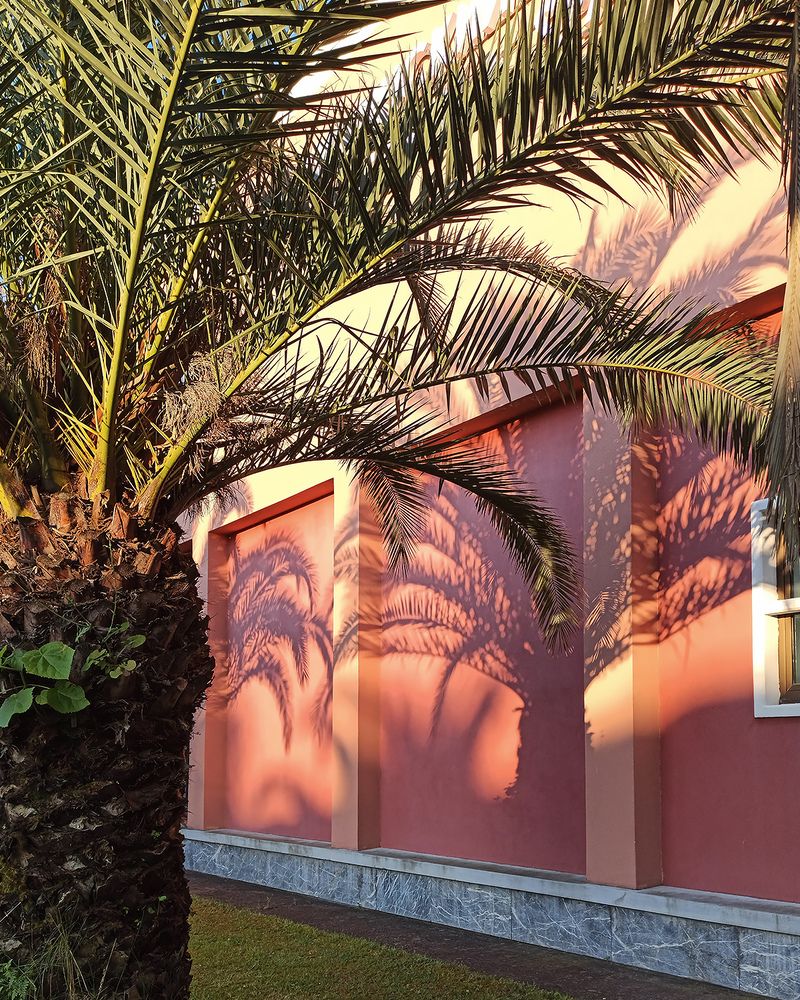 Нарисованные солнцем