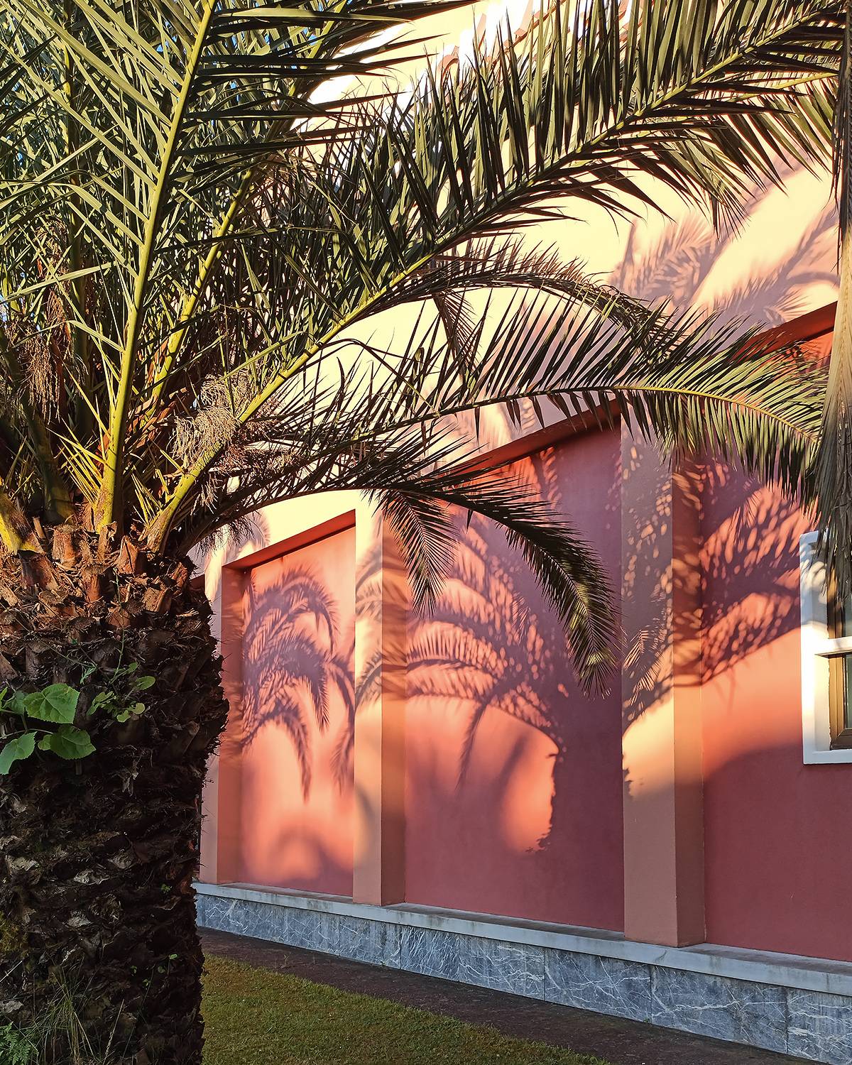 Нарисованные солнцем