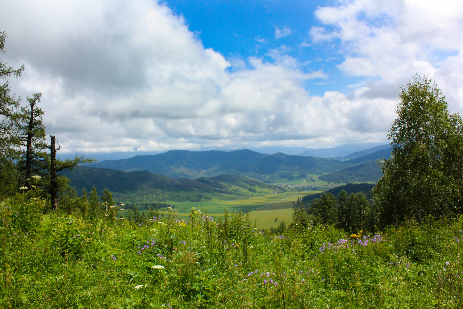Photo #13368633