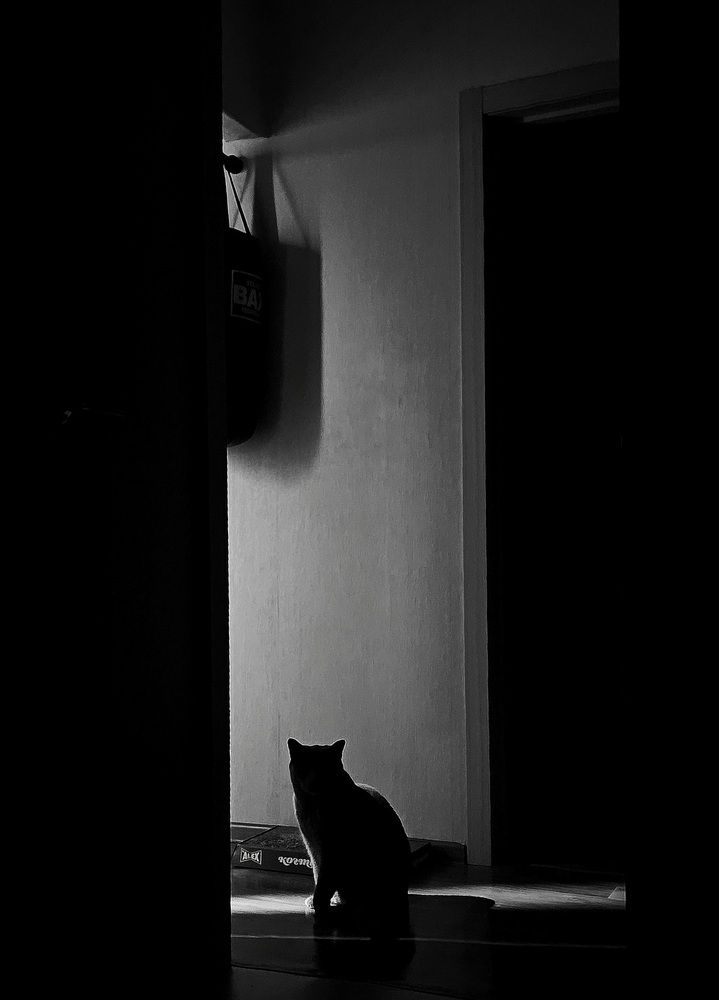 Photograph by Максим Грибанов