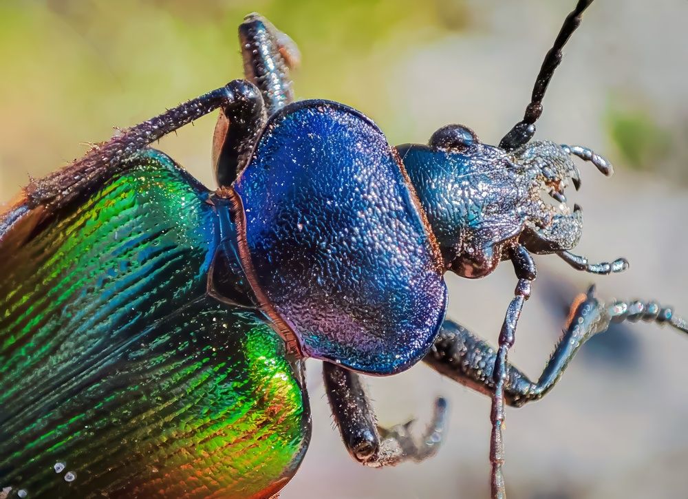 Photograph by Алексей