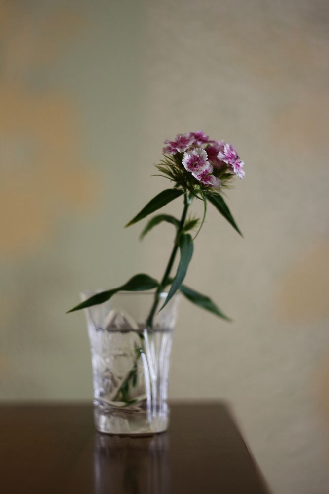 Photograph by Дмитрий Поляков