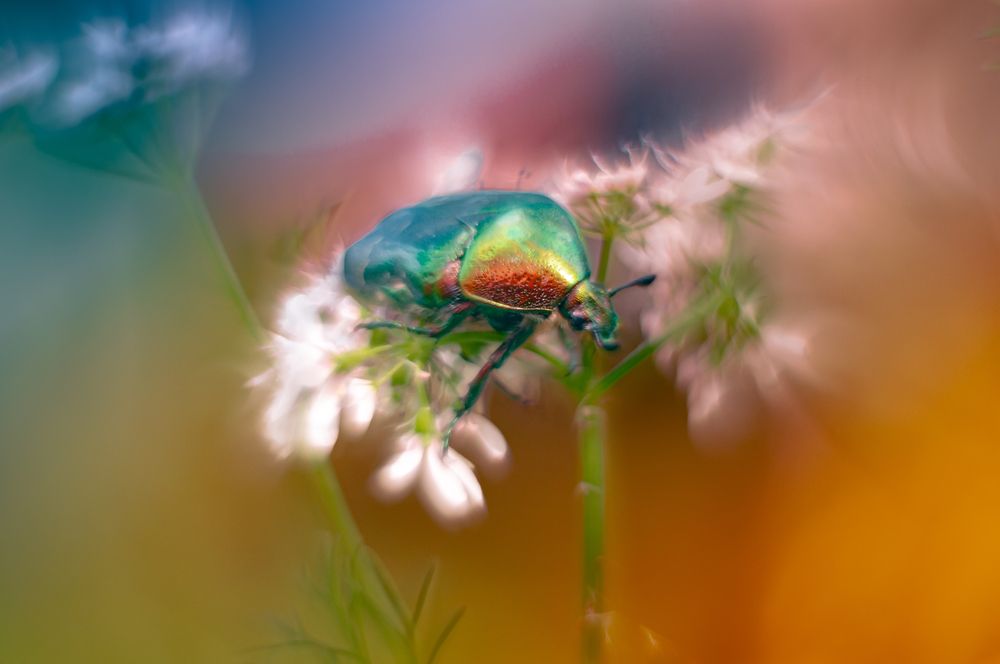 Photograph by Алексей