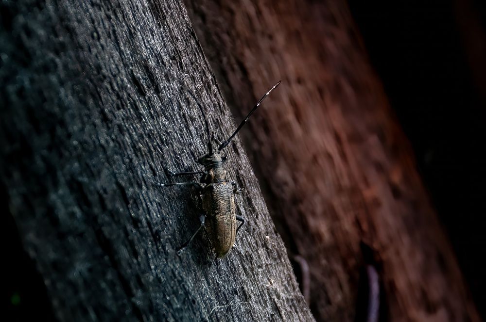 Photograph by Алексей