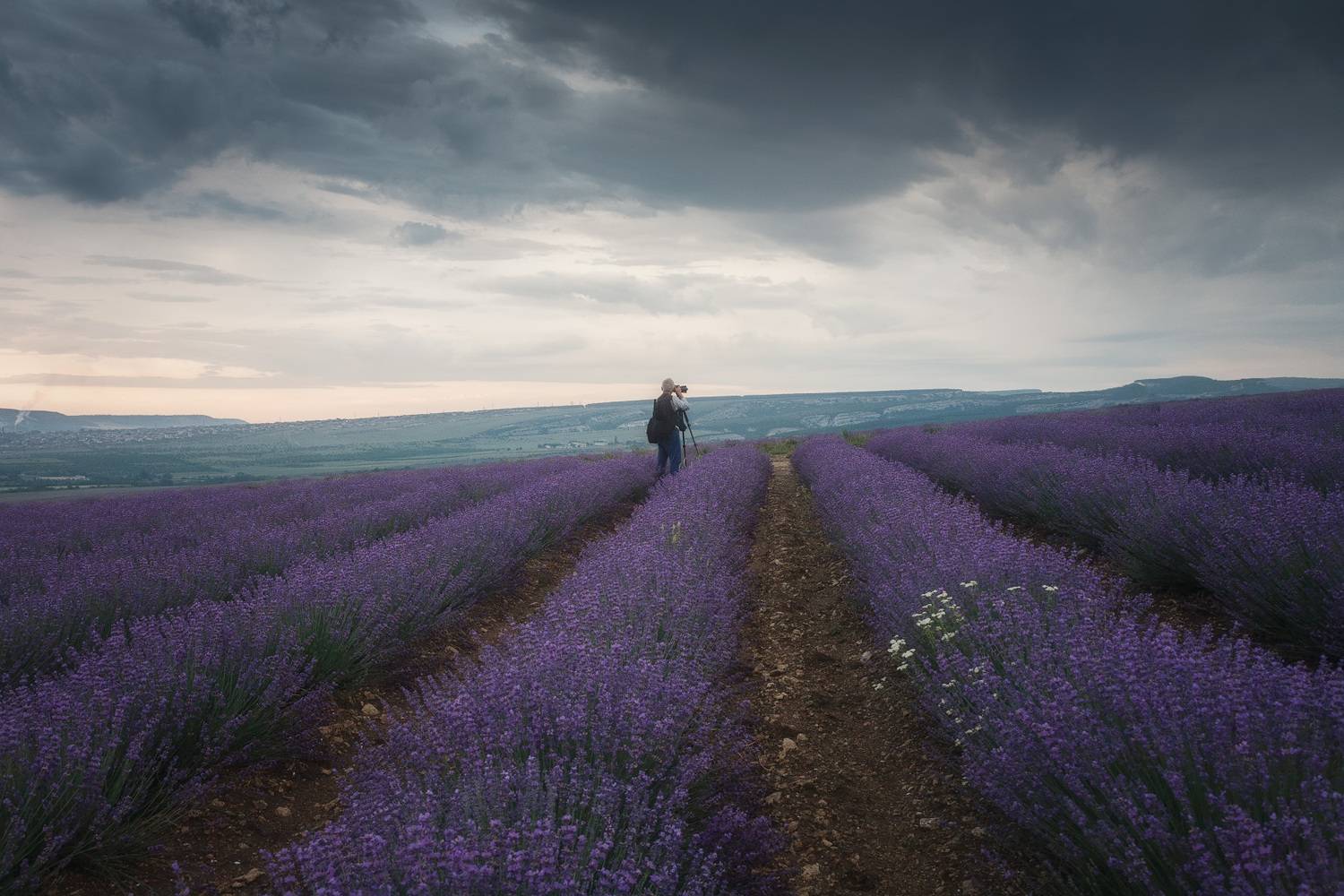 Рабочий момент.