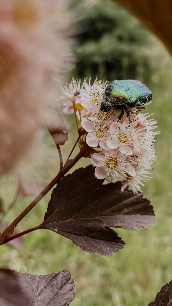 Photograph by Оксана Сологуб