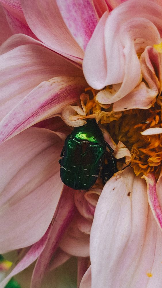 Photograph by Оксана Сологуб