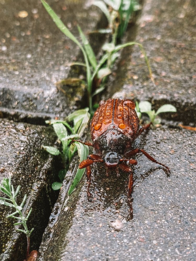 Photograph by Оксана Сологуб