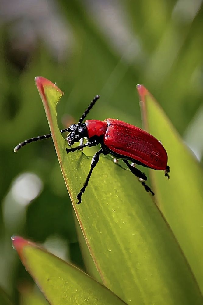 Фотография автора Юлия
